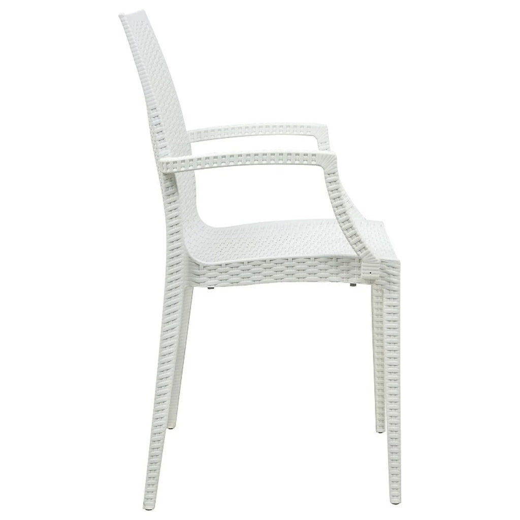Mid-Century Indoor/Outdoor Chair M691060