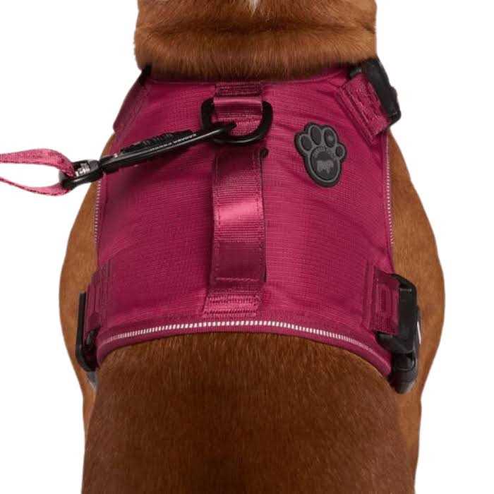 Complete Control Dog Harness O347480