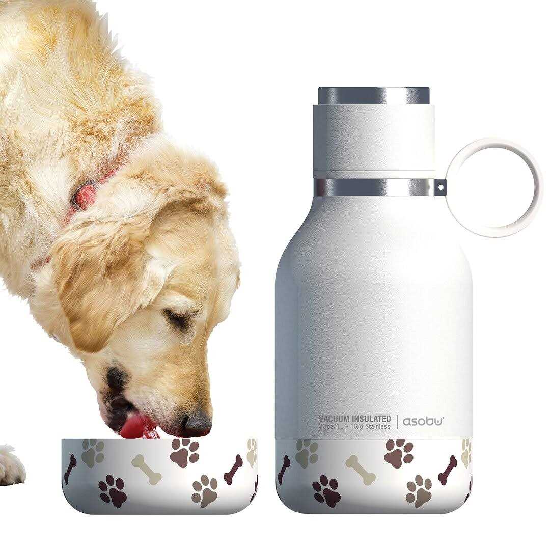 Dog Bowl Bottle D742