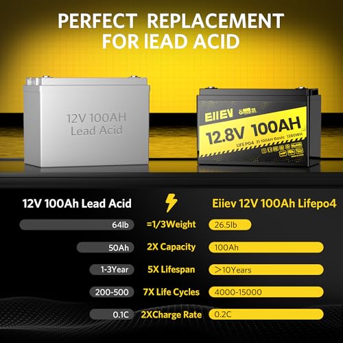 12V 100Ah LiFePO4 Battery with 100A BMS R4147