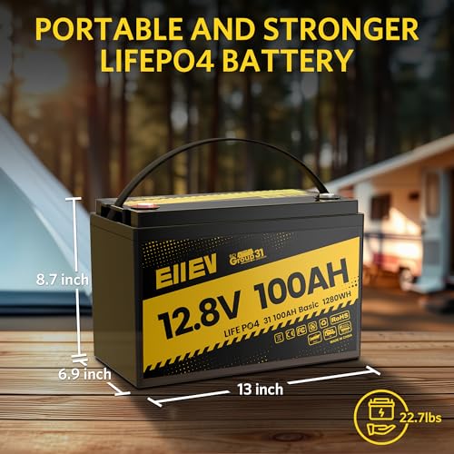 12V 100Ah LiFePO4 Battery with 100A BMS R4147