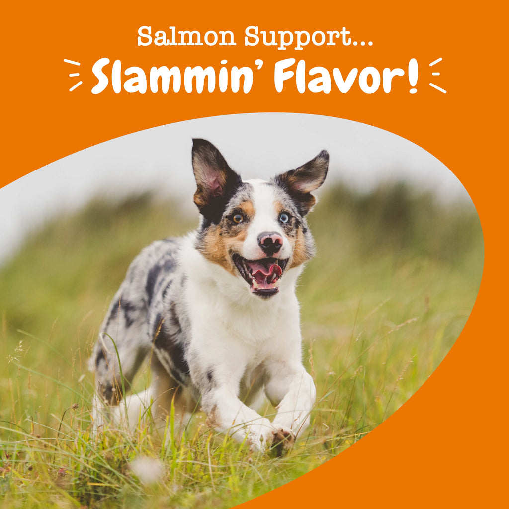 Salmon Flavor 90 Count Soft Chews X284