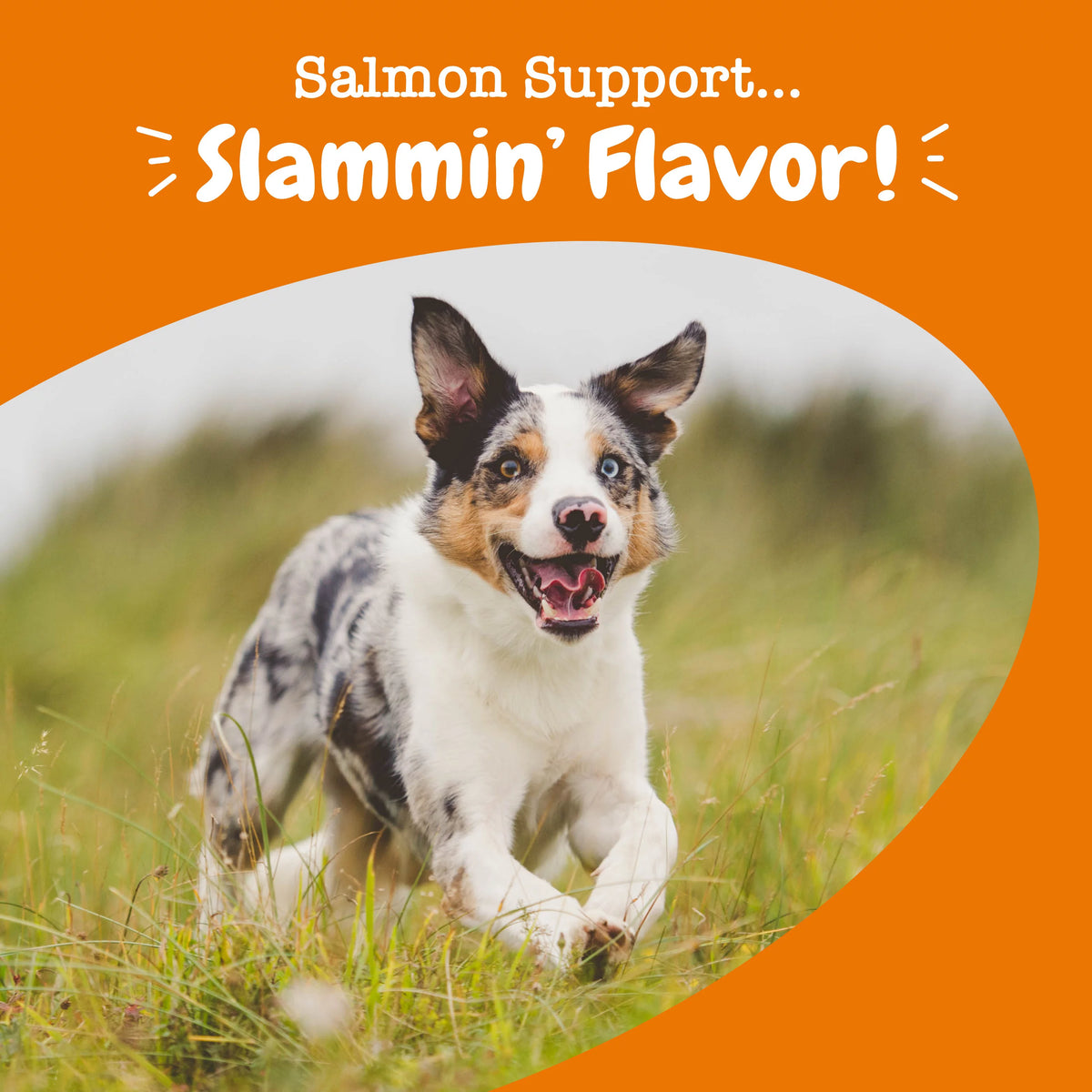 Salmon Flavor 90 Count Soft Chews X284