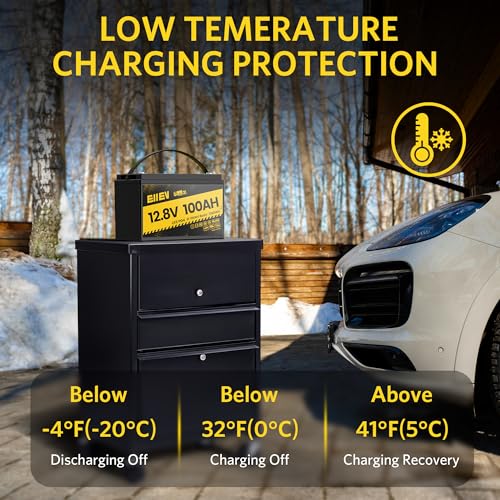 12V 100Ah LiFePO4 Battery with 100A BMS R4147