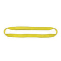 2 Ply 2x22 x 15& Endless Polyester Web Sling W256