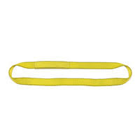 2 Ply 2x22 x 15& Endless Polyester Web Sling W256