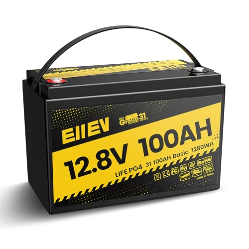 12V 100Ah LiFePO4 Battery with 100A BMS R4147