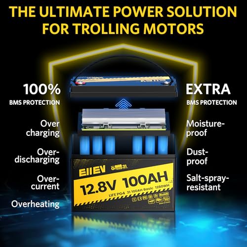12V 100Ah LiFePO4 Battery with 100A BMS R4147
