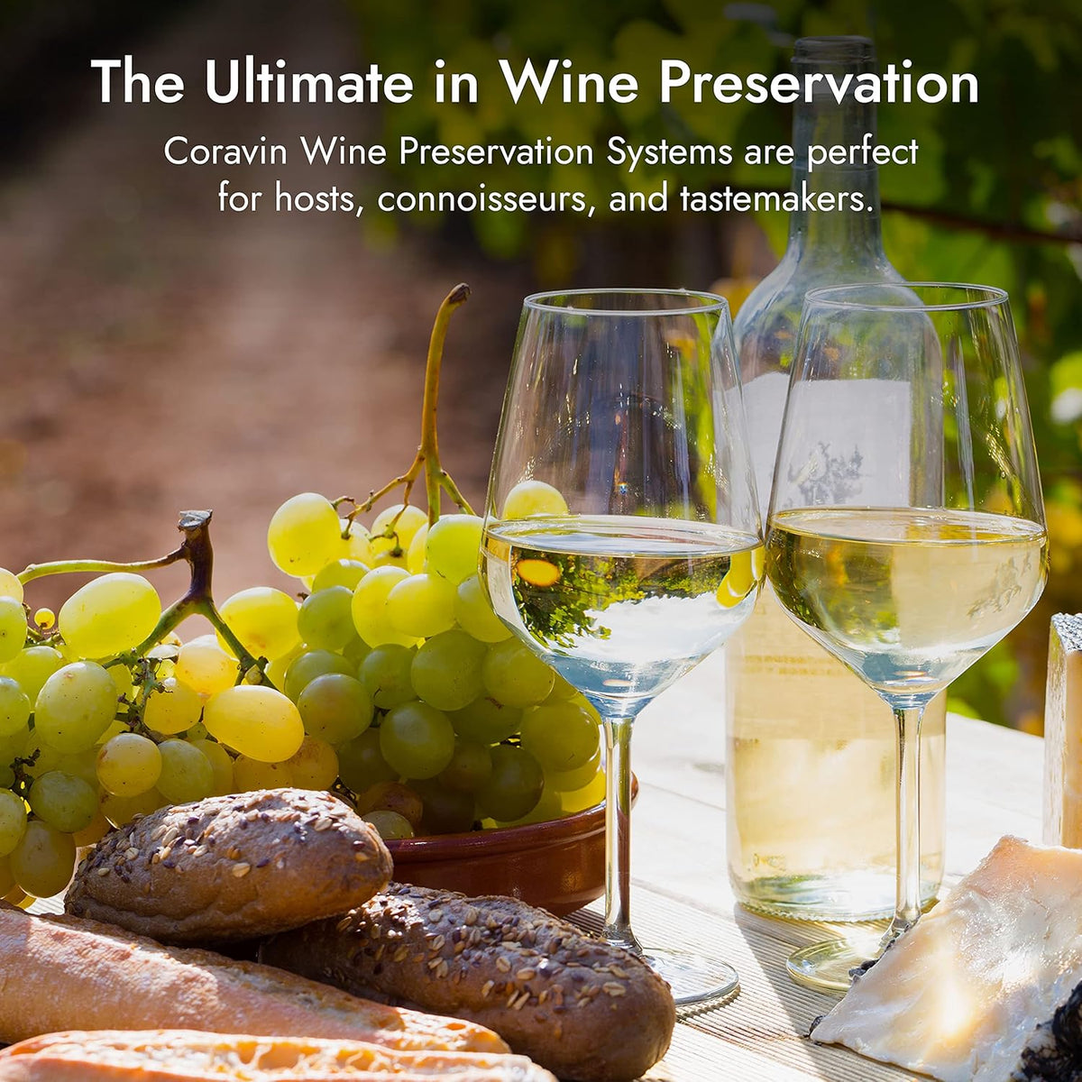 Wine Bottle Opener and Preservation System, Includes 2 Argon Capsules S8330