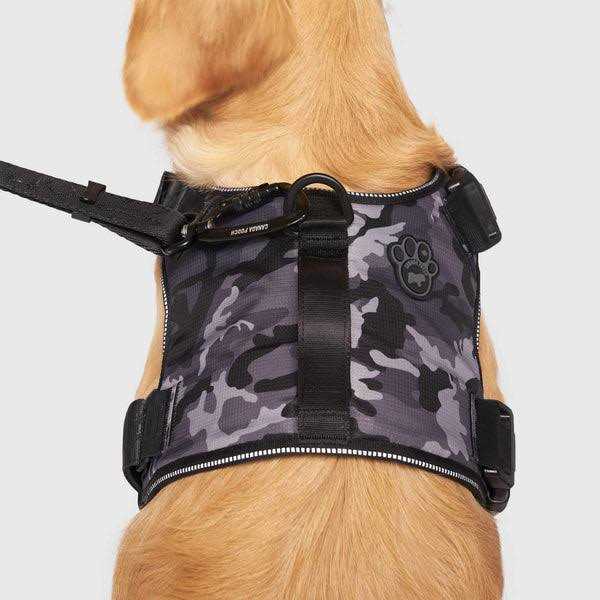 Complete Control Dog Harness O347480