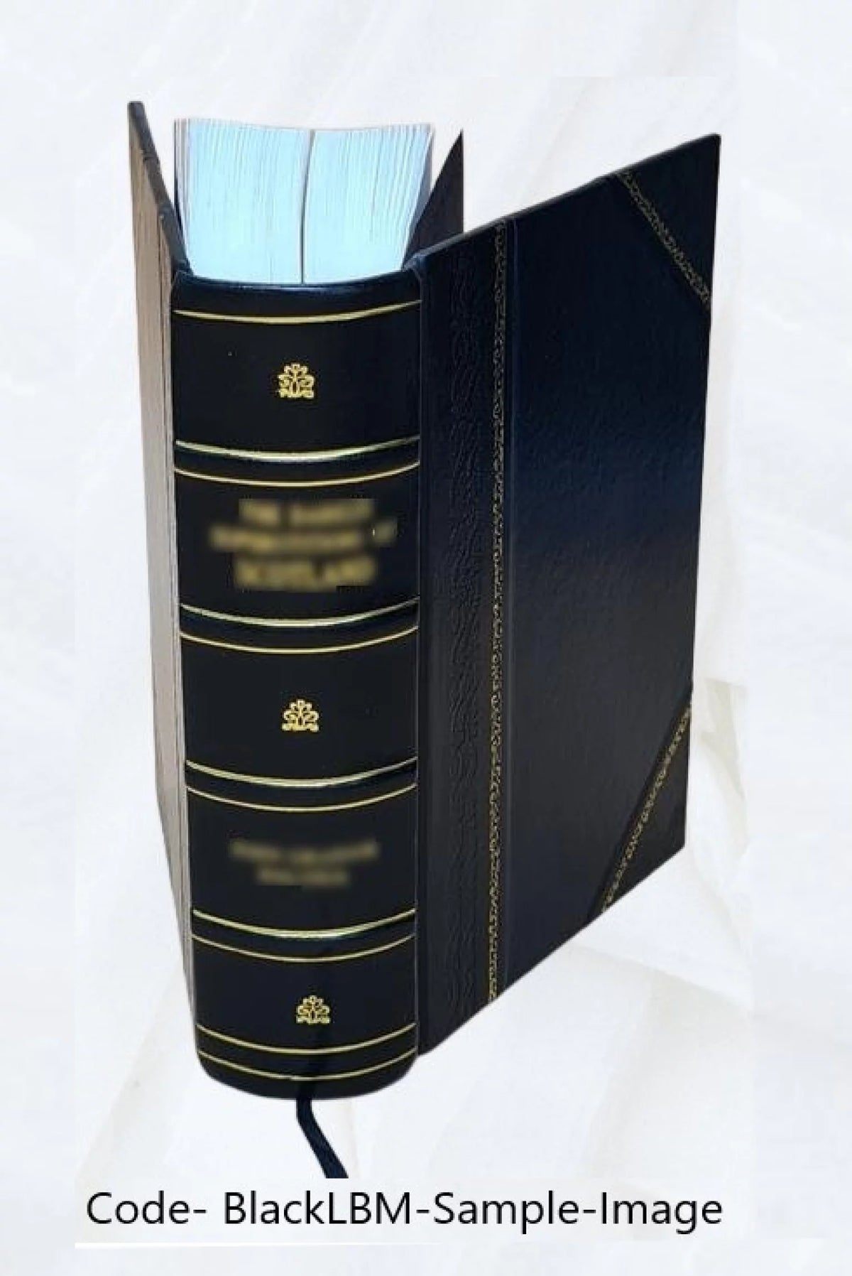 Leather Bound M868800