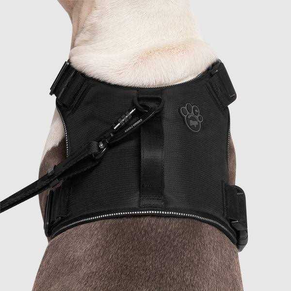 Complete Control Dog Harness O347480