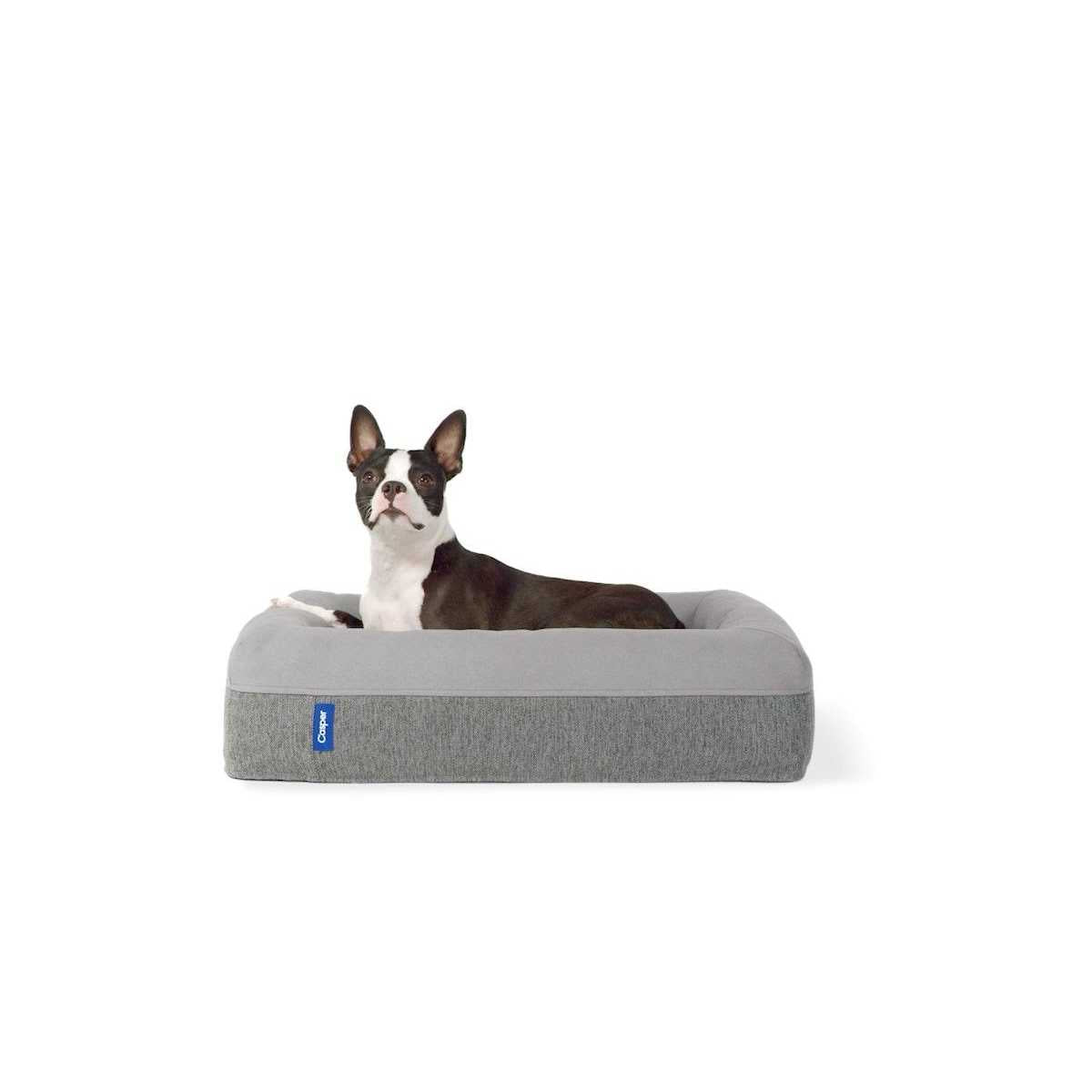 Dog Bed X664936