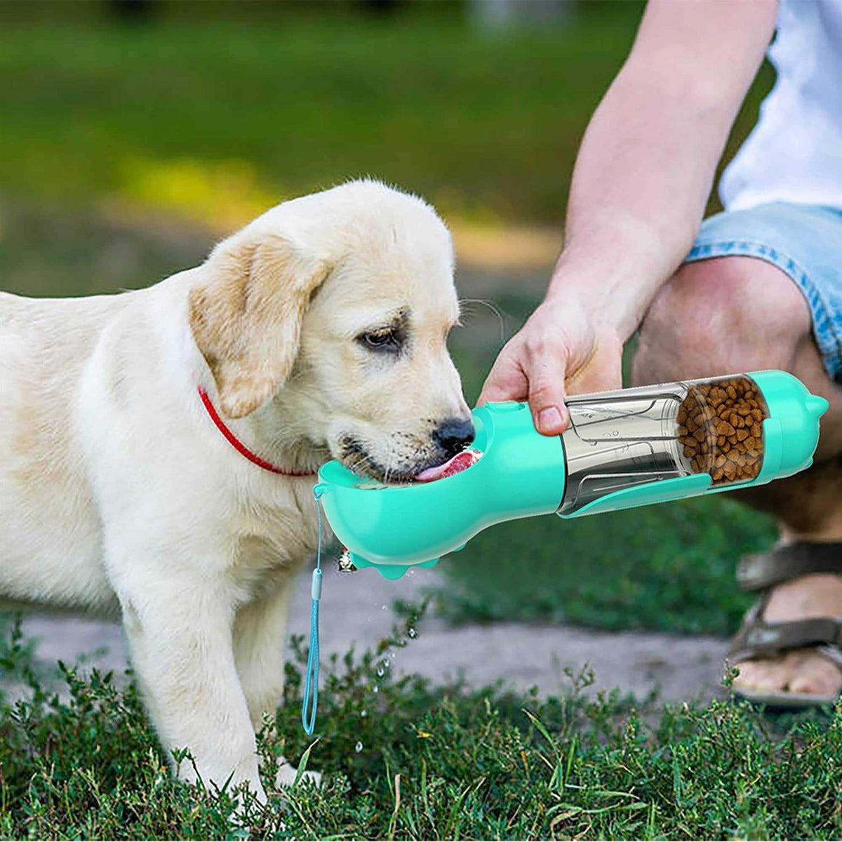 3 in 1 Dog Travel Bottle Set D12210